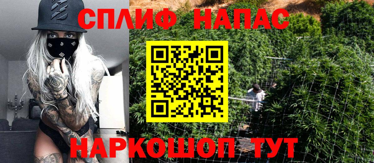Марихуана конопля  Каннабис сатива  Вход с VPN  Ахтубинск 
